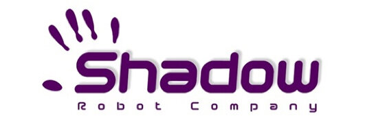 Shadow-Web.jpg