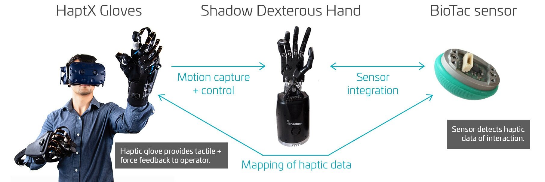 Haptic-telerobot-System-Components (1).jpg